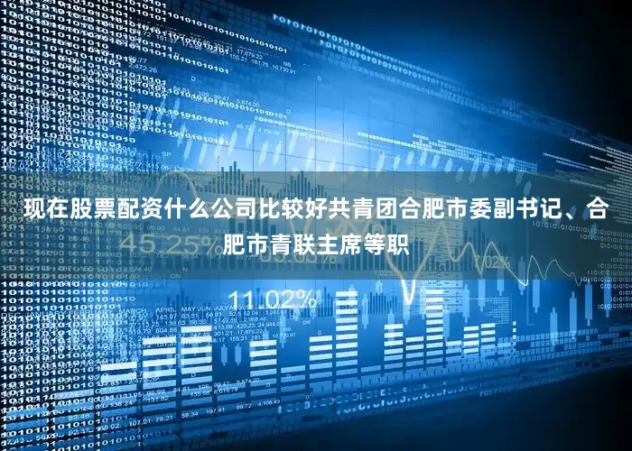 现在股票配资什么公司比较好共青团合肥市委副书记、合肥市青联主席等职