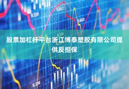 股票加杠杆平台浙江博泰塑胶有限公司提供反担保