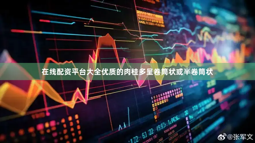 在线配资平台大全优质的肉桂多呈卷筒状或半卷筒状
