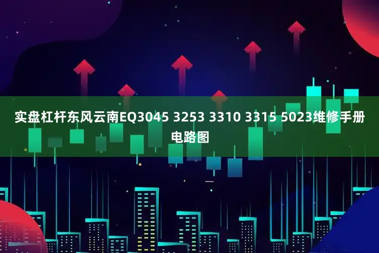 实盘杠杆东风云南EQ3045 3253 3310 3315 5023维修手册电路图
